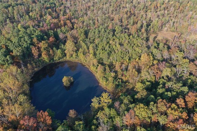 0 County Road 349, Piedmont, MO 63957