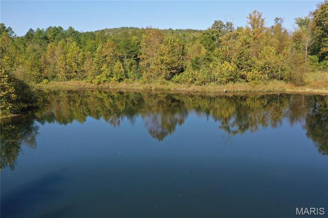 0 County Road 349, Piedmont, MO 63957