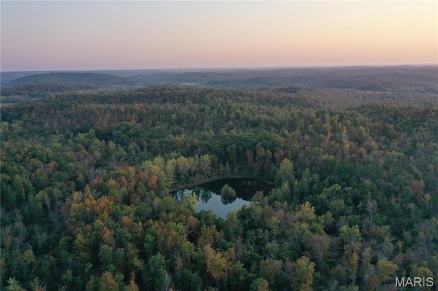 0 County Road 349, Piedmont, MO 63957