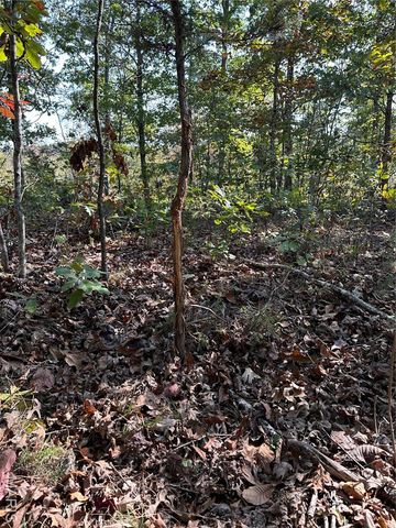 0 County Road 349, Piedmont, MO 63957