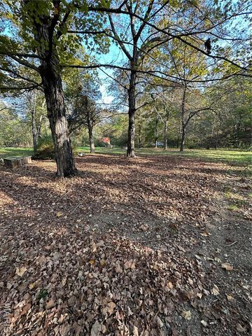 0 County Road 349, Piedmont, MO 63957