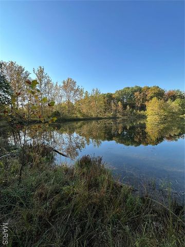 0 County Road 349, Piedmont, MO 63957