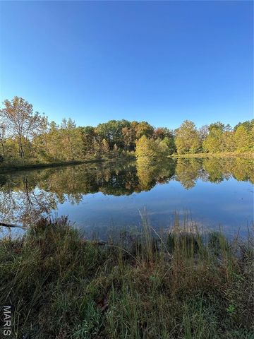 0 County Road 349, Piedmont, MO 63957