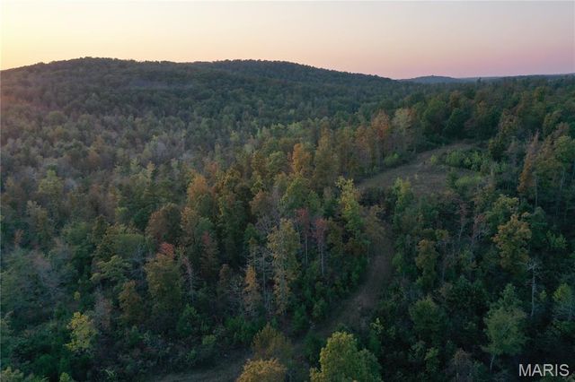 0 County Road 349, Piedmont, MO 63957