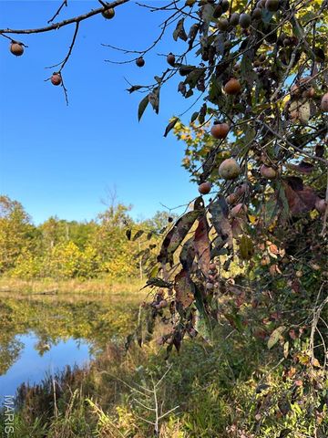 0 County Road 349, Piedmont, MO 63957