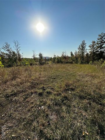 0 County Road 349, Piedmont, MO 63957