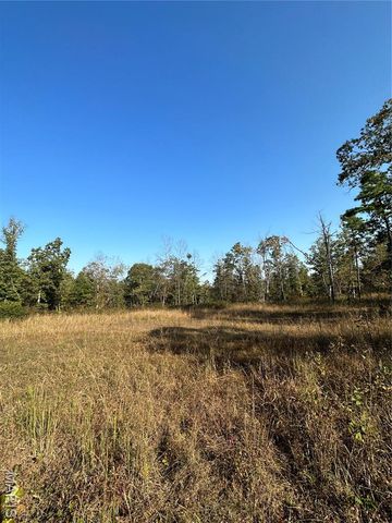 0 County Road 349, Piedmont, MO 63957