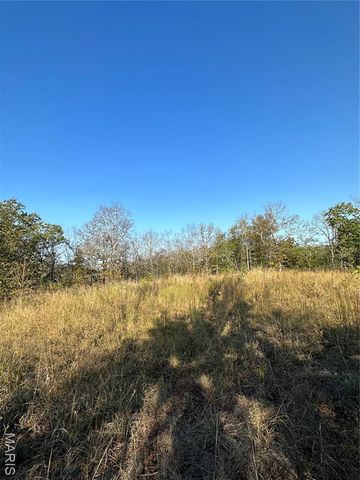 0 County Road 349, Piedmont, MO 63957