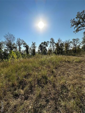 0 County Road 349, Piedmont, MO 63957