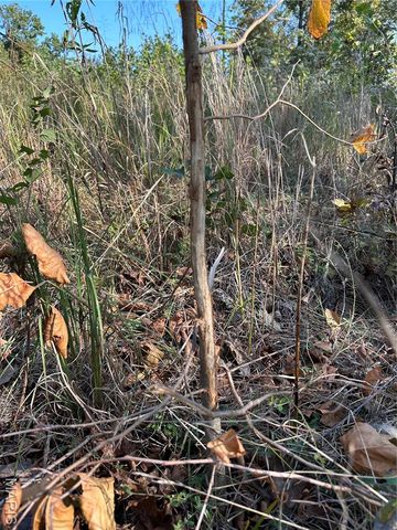 0 County Road 349, Piedmont, MO 63957