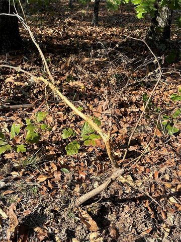 0 County Road 349, Piedmont, MO 63957