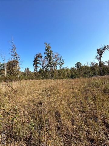 0 County Road 349, Piedmont, MO 63957