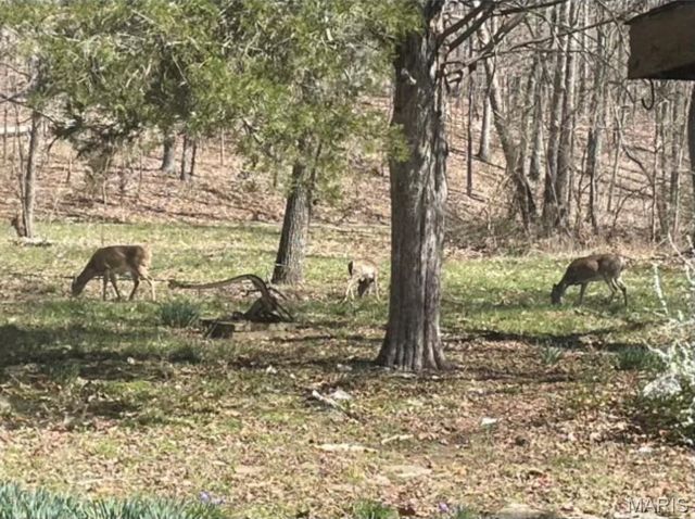 0 County Road 349, Piedmont, MO 63957