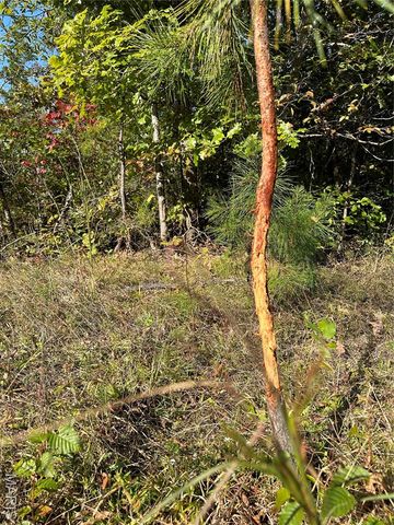 0 County Road 349, Piedmont, MO 63957