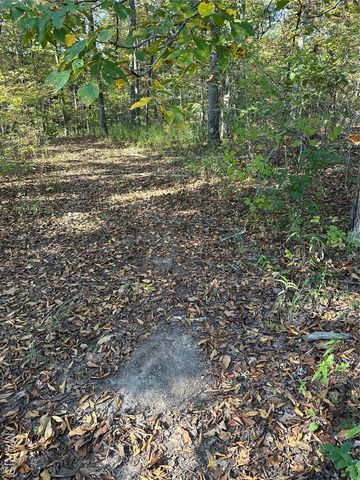 0 County Road 349, Piedmont, MO 63957