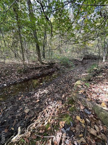 0 County Road 349, Piedmont, MO 63957