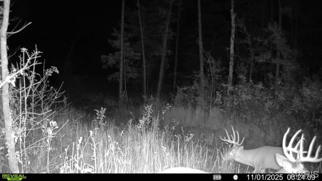 0 County Road 349, Piedmont, MO 63957