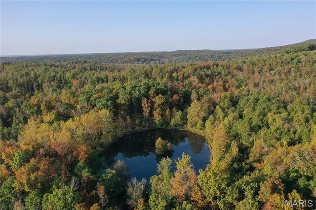 0 County Road 349, Piedmont, MO 63957