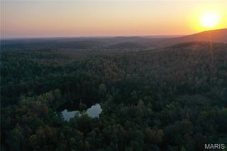 0 County Road 349, Piedmont, MO 63957