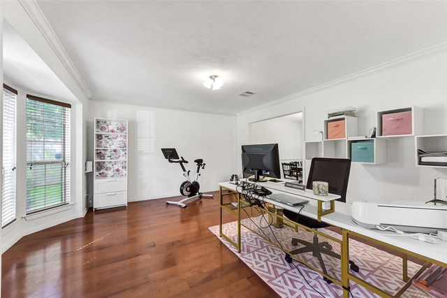 17214 Palm Falls Court, Houston, TX 77095
