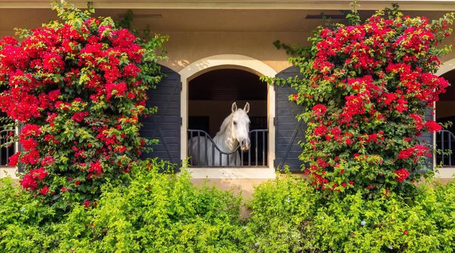 14911 Equestrian Way, Wellington, FL 33414