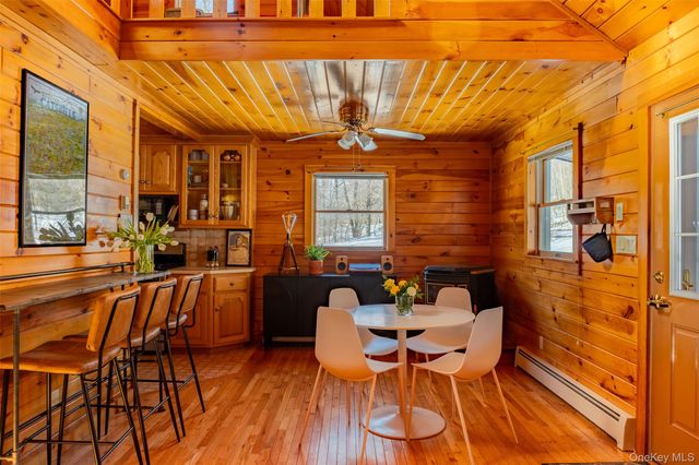 81 Macdougal Road, Roscoe, NY 12776