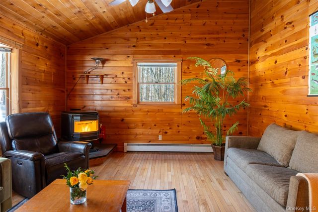 81 Macdougal Road, Roscoe, NY 12776