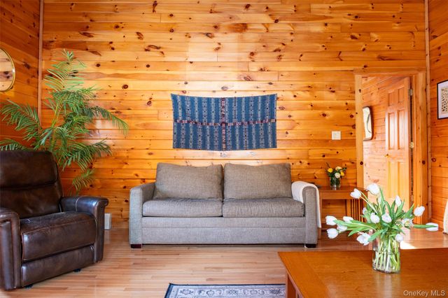 81 Macdougal Road, Roscoe, NY 12776