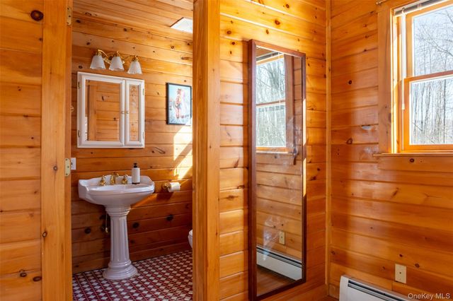 81 Macdougal Road, Roscoe, NY 12776