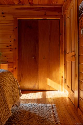 81 Macdougal Road, Roscoe, NY 12776