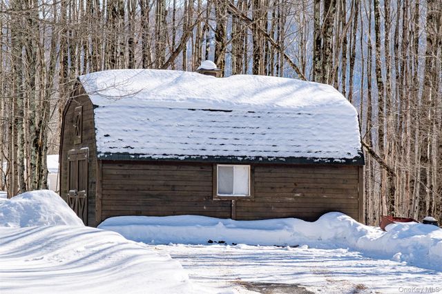 81 Macdougal Road, Roscoe, NY 12776