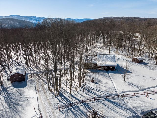 81 Macdougal Road, Roscoe, NY 12776