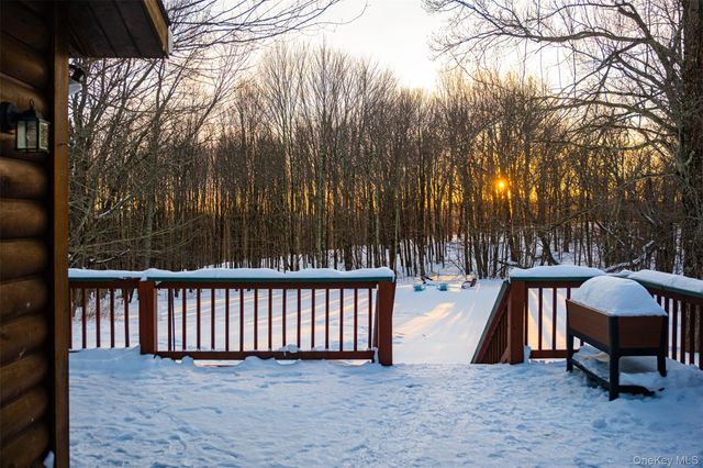 81 Macdougal Road, Roscoe, NY 12776