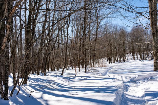 81 Macdougal Road, Roscoe, NY 12776