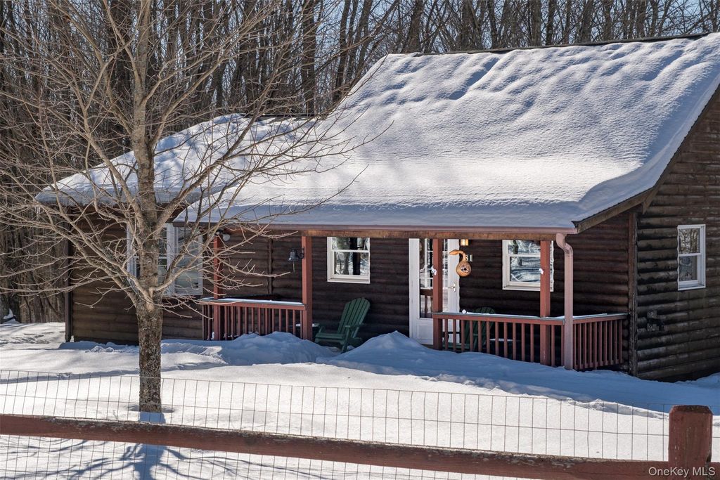 81 Macdougal Road, Roscoe, NY 12776