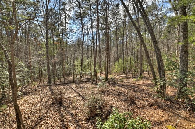 331 Chestnut Gap Road, Blue Ridge, GA 30513
