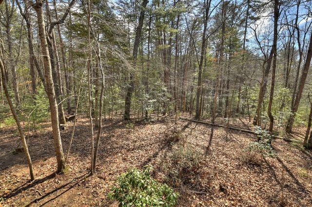 331 Chestnut Gap Road, Blue Ridge, GA 30513