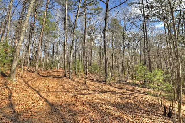 331 Chestnut Gap Road, Blue Ridge, GA 30513
