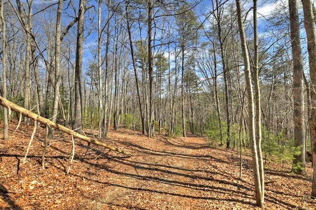 331 Chestnut Gap Road, Blue Ridge, GA 30513