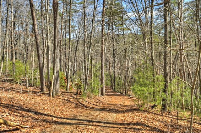 331 Chestnut Gap Road, Blue Ridge, GA 30513