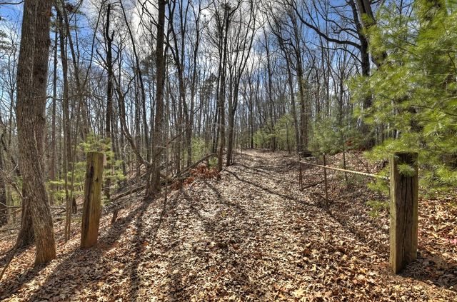 331 Chestnut Gap Road, Blue Ridge, GA 30513