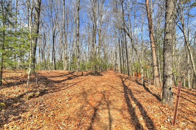 331 Chestnut Gap Road, Blue Ridge, GA 30513