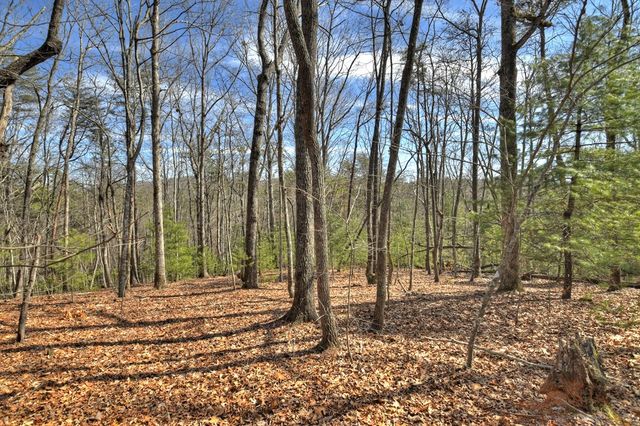 331 Chestnut Gap Road, Blue Ridge, GA 30513