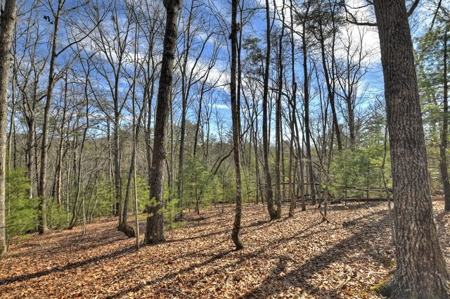 331 Chestnut Gap Road, Blue Ridge, GA 30513