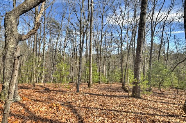 331 Chestnut Gap Road, Blue Ridge, GA 30513