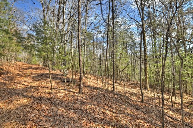 331 Chestnut Gap Road, Blue Ridge, GA 30513