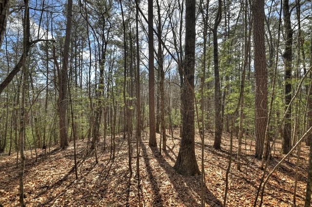 331 Chestnut Gap Road, Blue Ridge, GA 30513