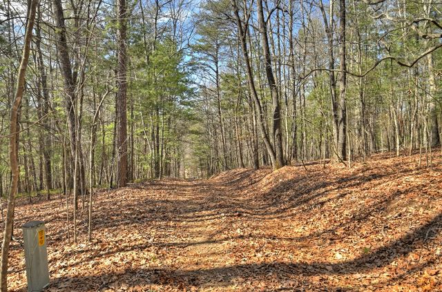 331 Chestnut Gap Road, Blue Ridge, GA 30513