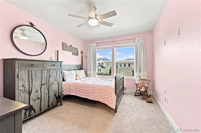 5462 Gray Wolf Lane, Castle Rock, CO 80104