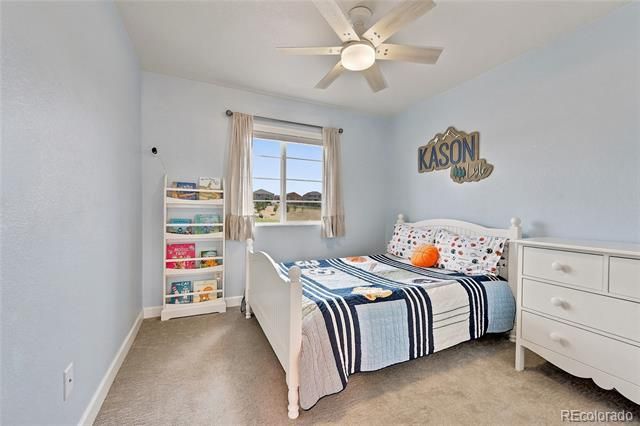 5462 Gray Wolf Lane, Castle Rock, CO 80104